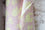 Printed Cotton Mix KR0030